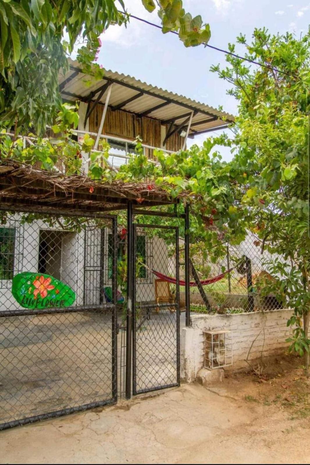 Playa Dormida Casa Lily Flower מראה חיצוני תמונה